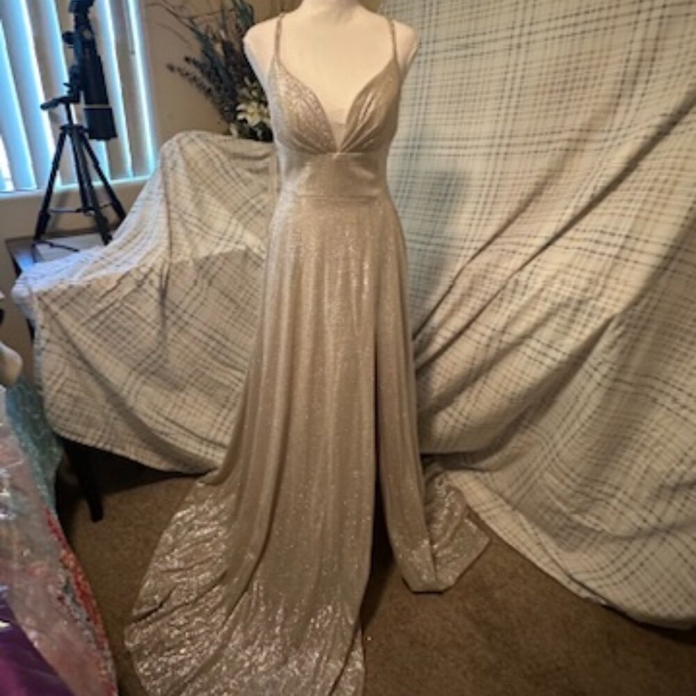 Silver Glitter Dress